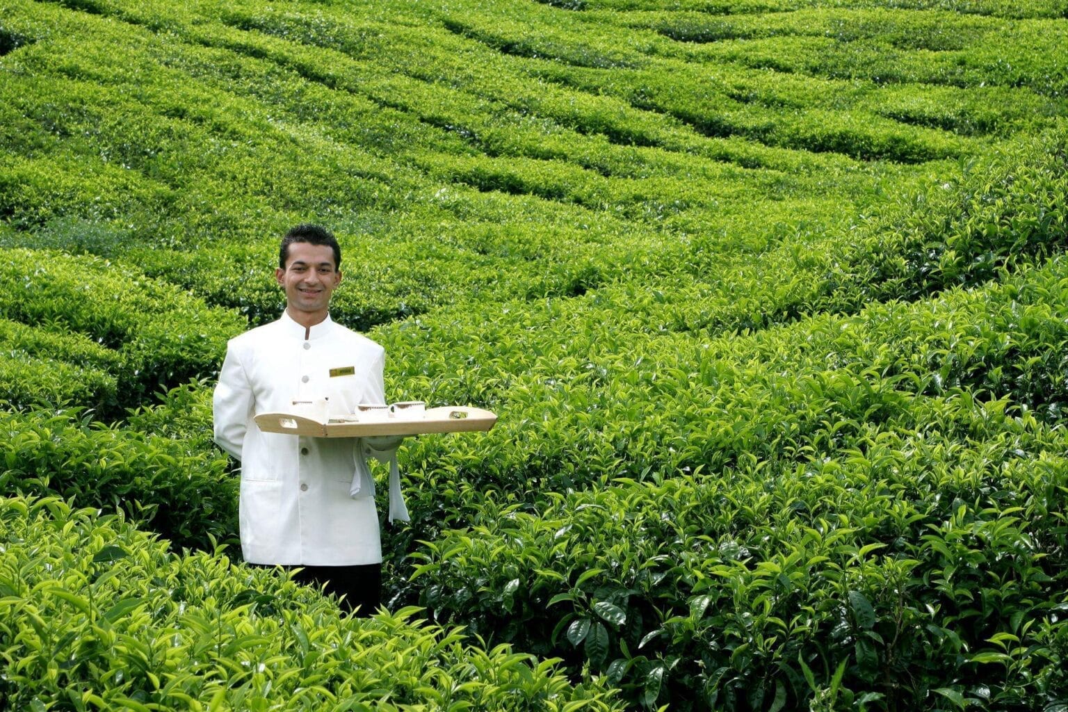 Cameron-Highlands-Resort.jpg