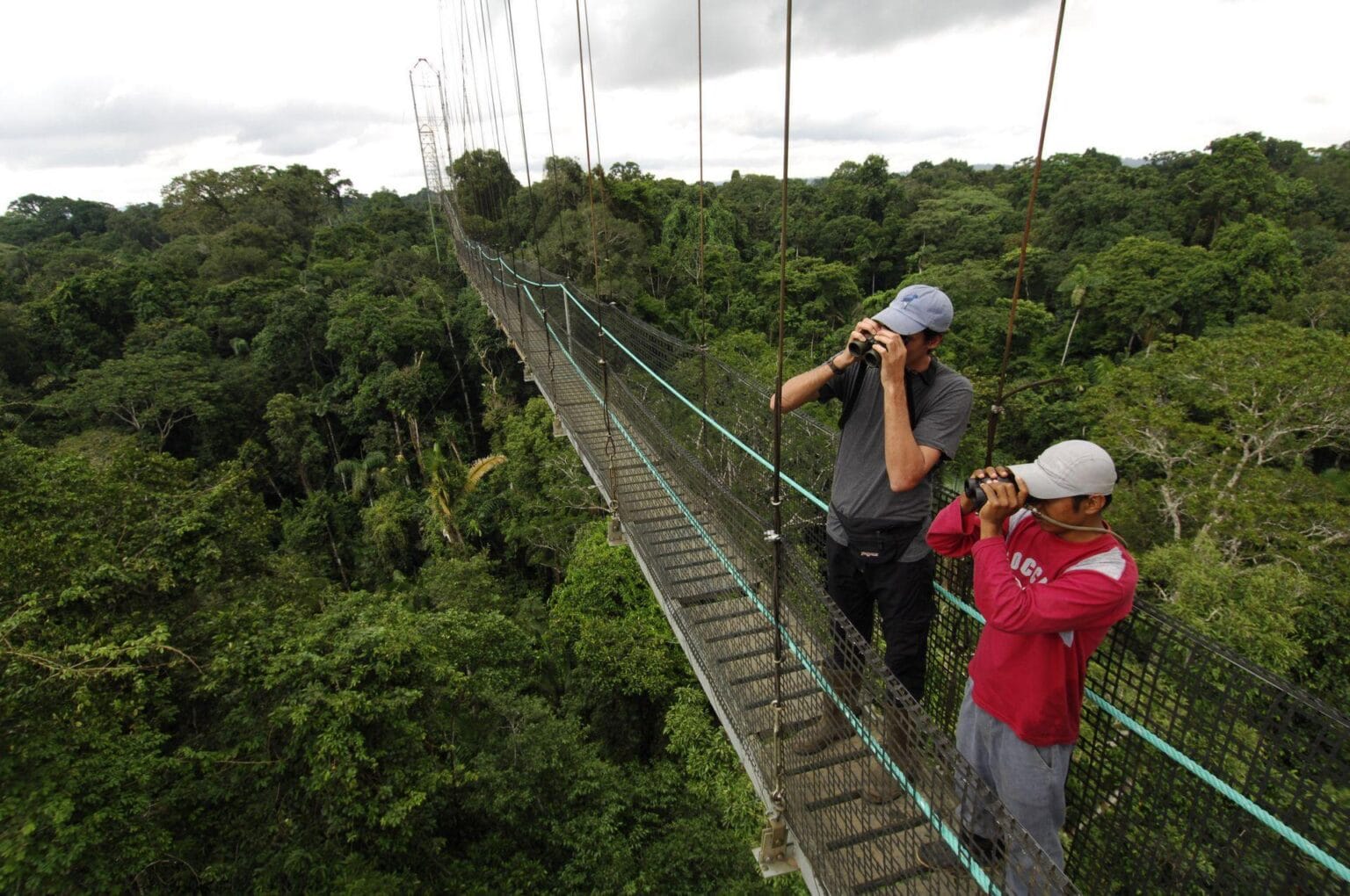 Canopy-Walkway-7.jpg