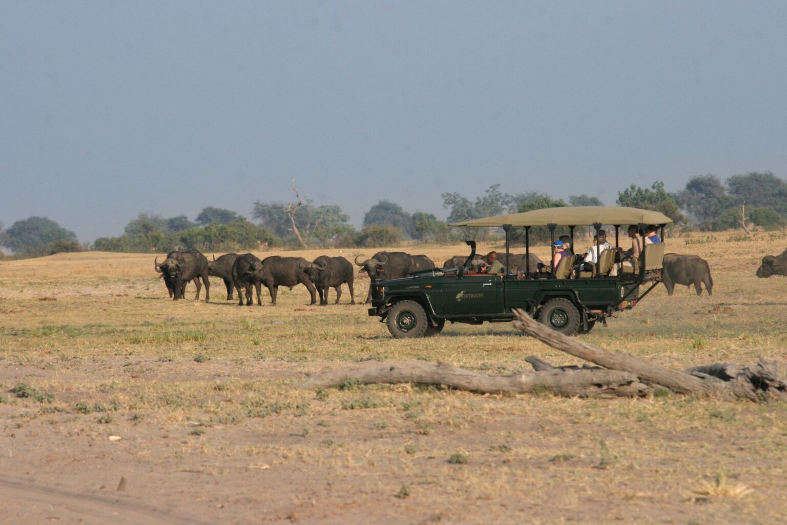 Chobe-22.jpg