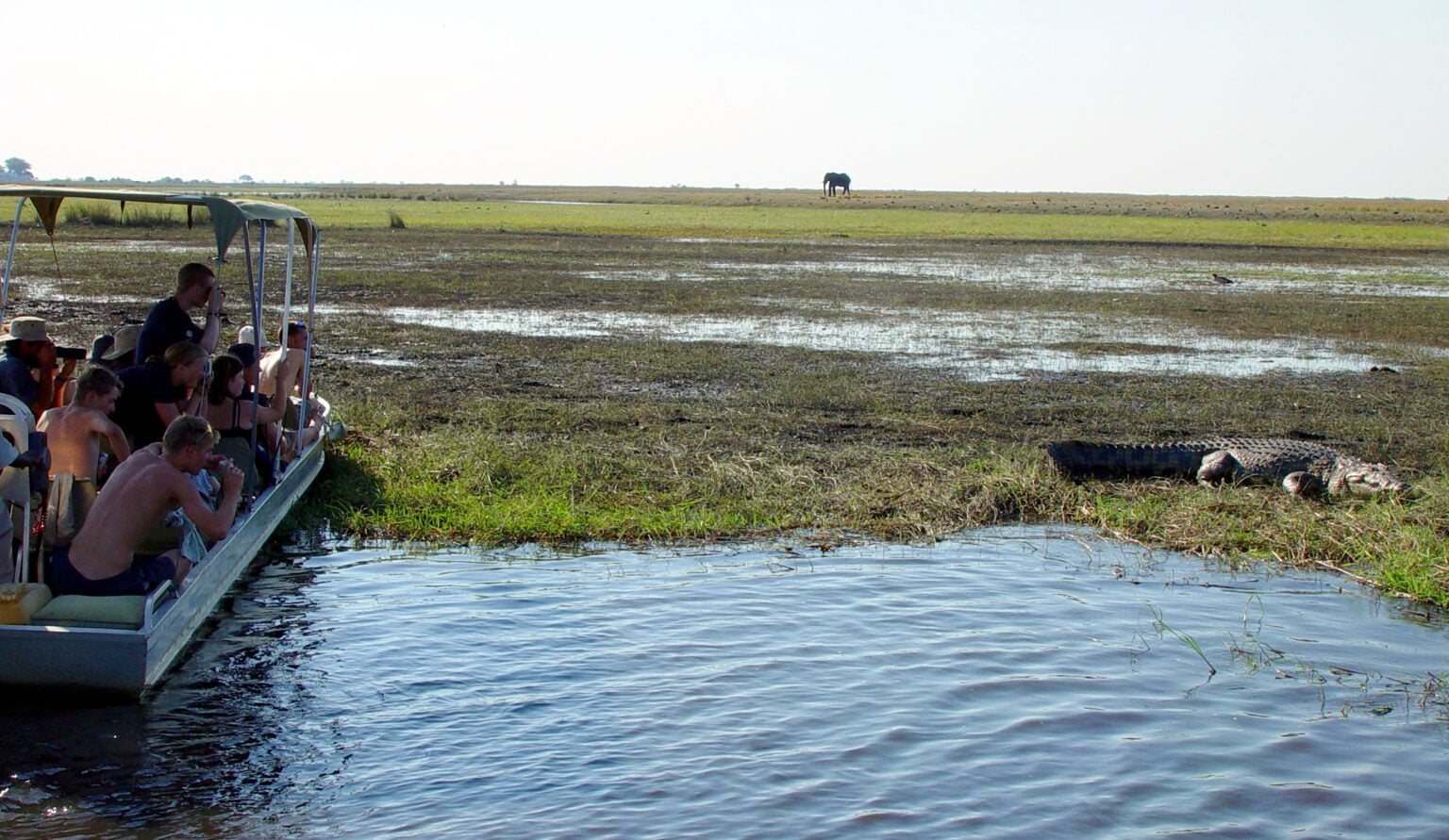 Chobe-23.jpg