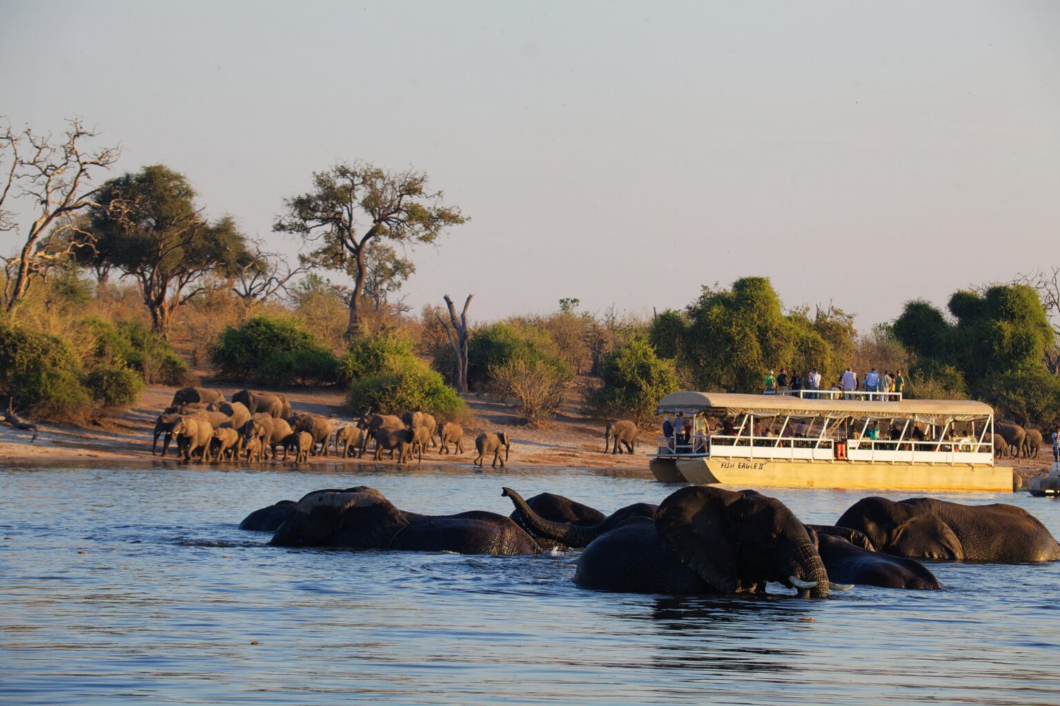 Chobe-24.jpg