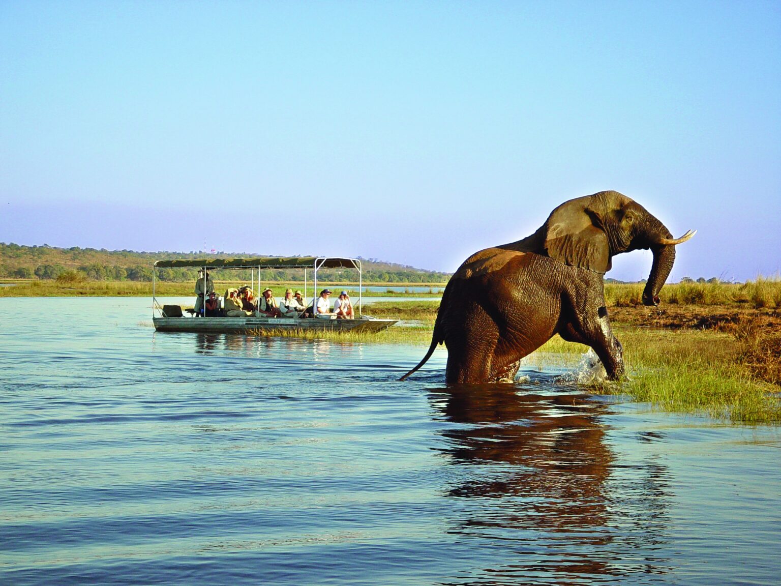 Chobe-25.jpg