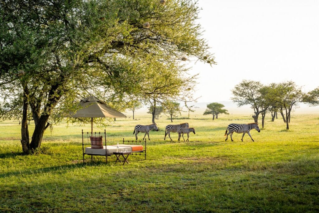Luksusowy hotel w Afryce blisko parku Serengeti  - Singita Sabora Tented Camp,Singita Sabora Tented Camp,Poznaj kulturę mieszkańców i skorzystaj z udogodnień hotelu,Wakacje w hotelu polecane są rodziną z dziećmi oraz parom