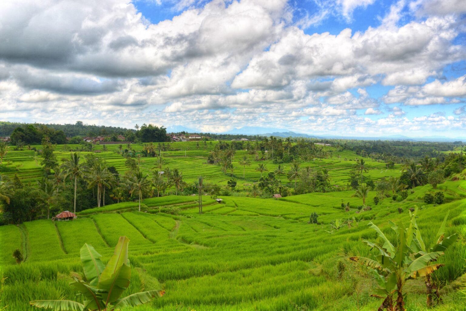 E-UNESCO-recognized-terraced-rice-field-at-Jatiluwih.jpg