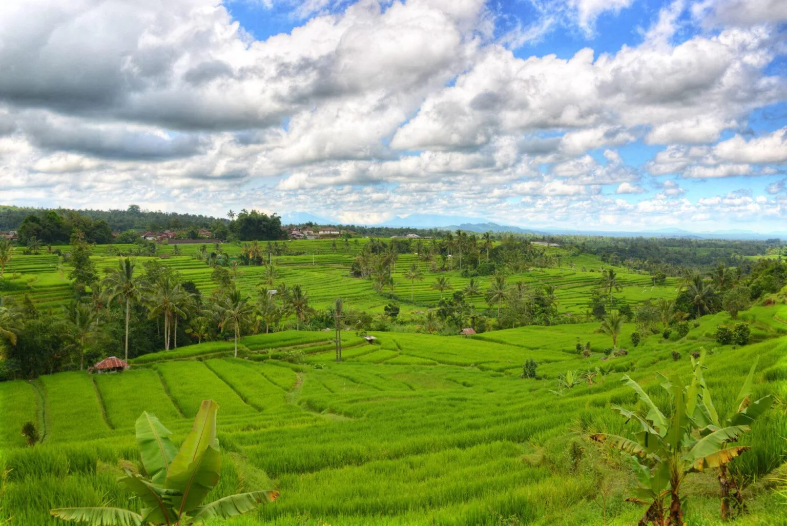 E-UNESCO-recognized-terased-rice-field-at-Jatiluwih.jpg