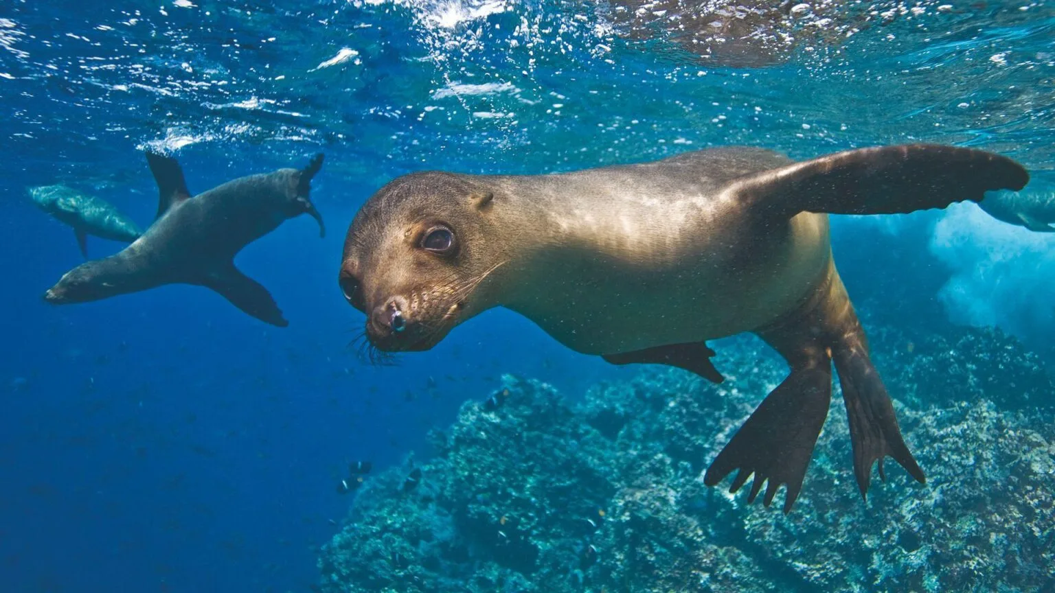 Ekwador-z-Galapagos-05.jpg