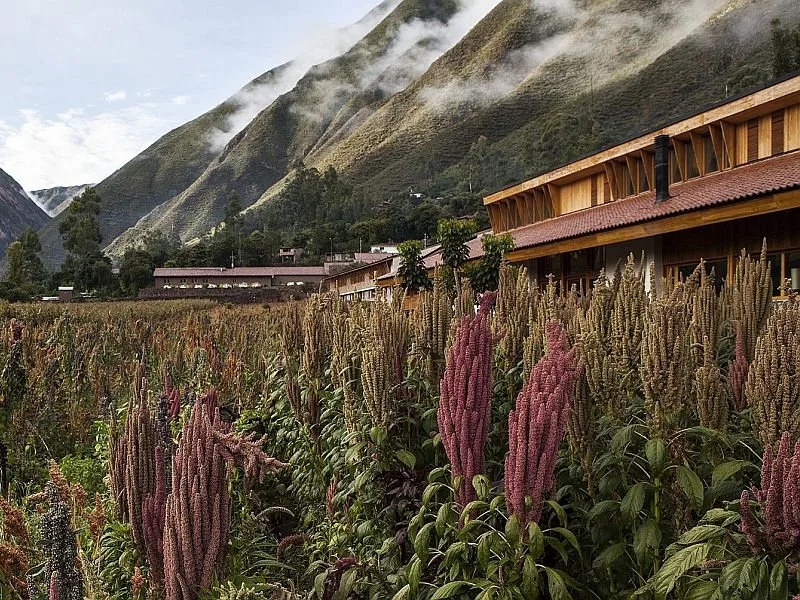 Explora Valle Sagrado,Explora Valle Sagrado – hotel w Świętej Dolinie Inków,Zwiedzanie Pisac,Moray i Ollantaytambo z Explora Valle Sagrado,Przyroda Doliny Urubamby i relaks w Explora Valle Sagrado