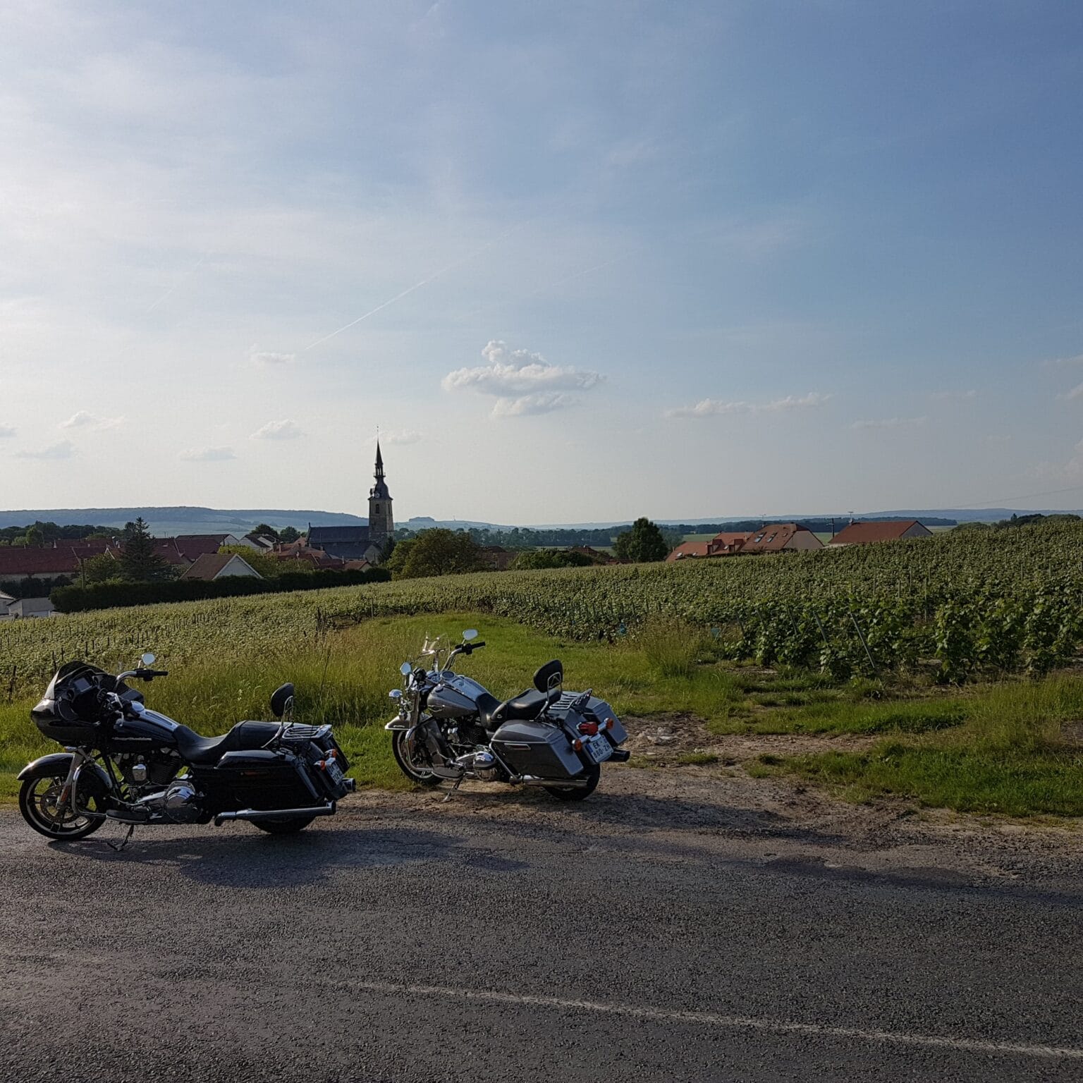 FMRTforLTravel_bikesintoVineyards.jpg