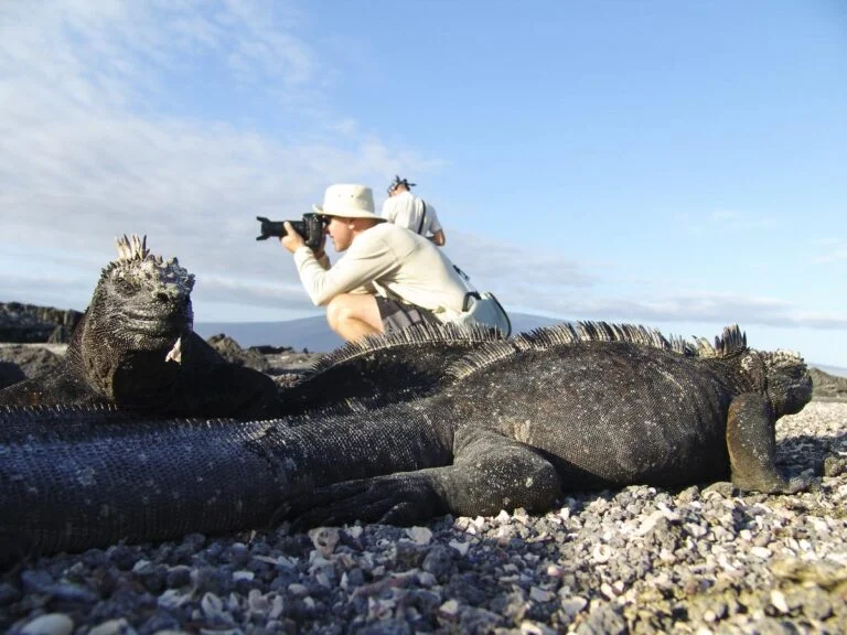 Отель на берегу моря на Галапагосах – идеальное место для знакомства с островами. Экскурсии по Галапагосам – природа, геология и необыкновенные пейзажи. Каякинг, круизы и дайвинг – активный отдых на островах. Национальный парк Галапагос и станция Дарвина – откройте для себя острова. Номера и виды – отдохните у океана. Галапагосская кухня – свежие продукты и местные деликатесы.