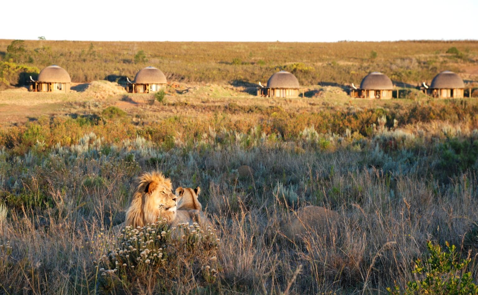 Gondwana-20.jpg