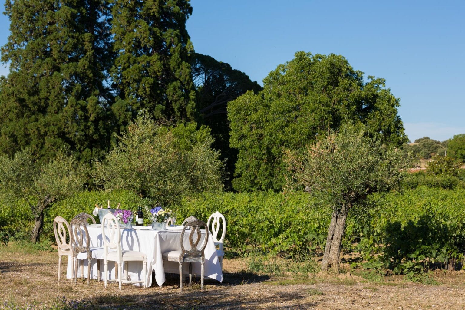 Hacienda-Zorita-17.jpg