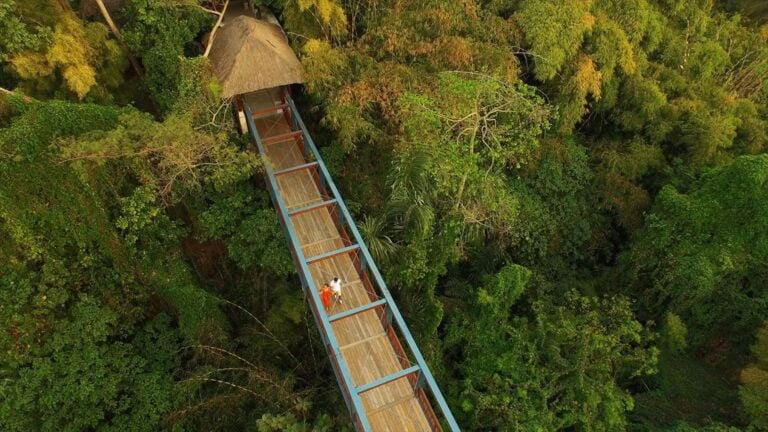 Four Seasons Resort Bali at Sayan,Ubud,Bali,Indonezja,Dużym udogodnieniem jest bliskość do centrum miasta Ubud,Odpocznij w otoczeniu zaprojektowanym w sposób harmonijny z naturą,Atrakcje na Bali dzięki którym poznasz tamtejsze tradycje i kuchnię,Wakacje Four Seasons Resort Bali at Sayan to niezapomniane doświadczenia