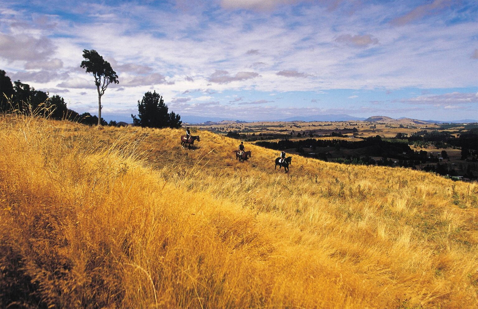 Huka-Lodge-20.jpg