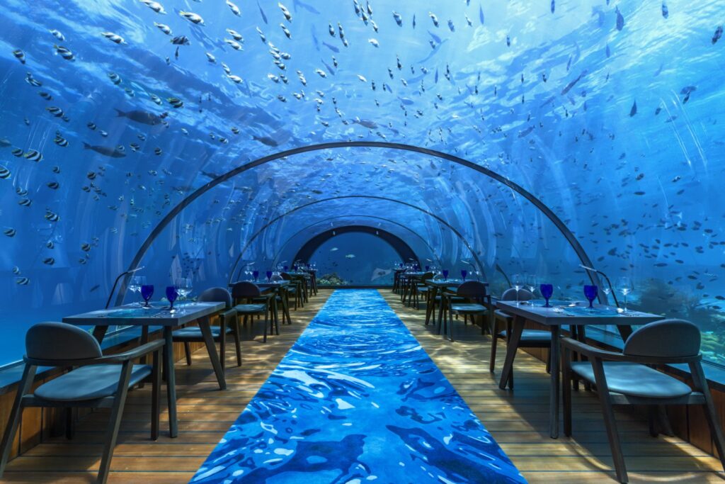 Only BLUE w hotelu OBLU Select Lobigili,Podwodne restauracje na Malediwach,Najpiękniejsze restauracje i fine dining pod wodą,Kolacja na Malediwach kilka metrów pod oceanem?