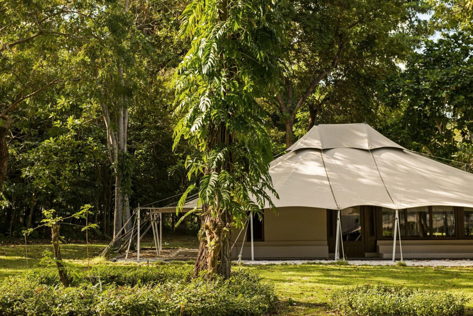 Jungle-Tent_High-Res_1601.jpg