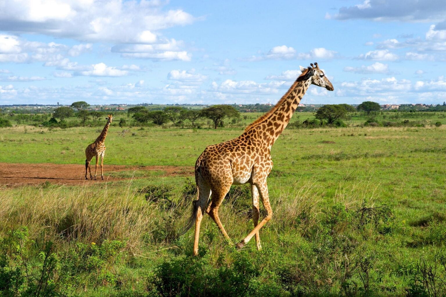 Kenia-04.jpg