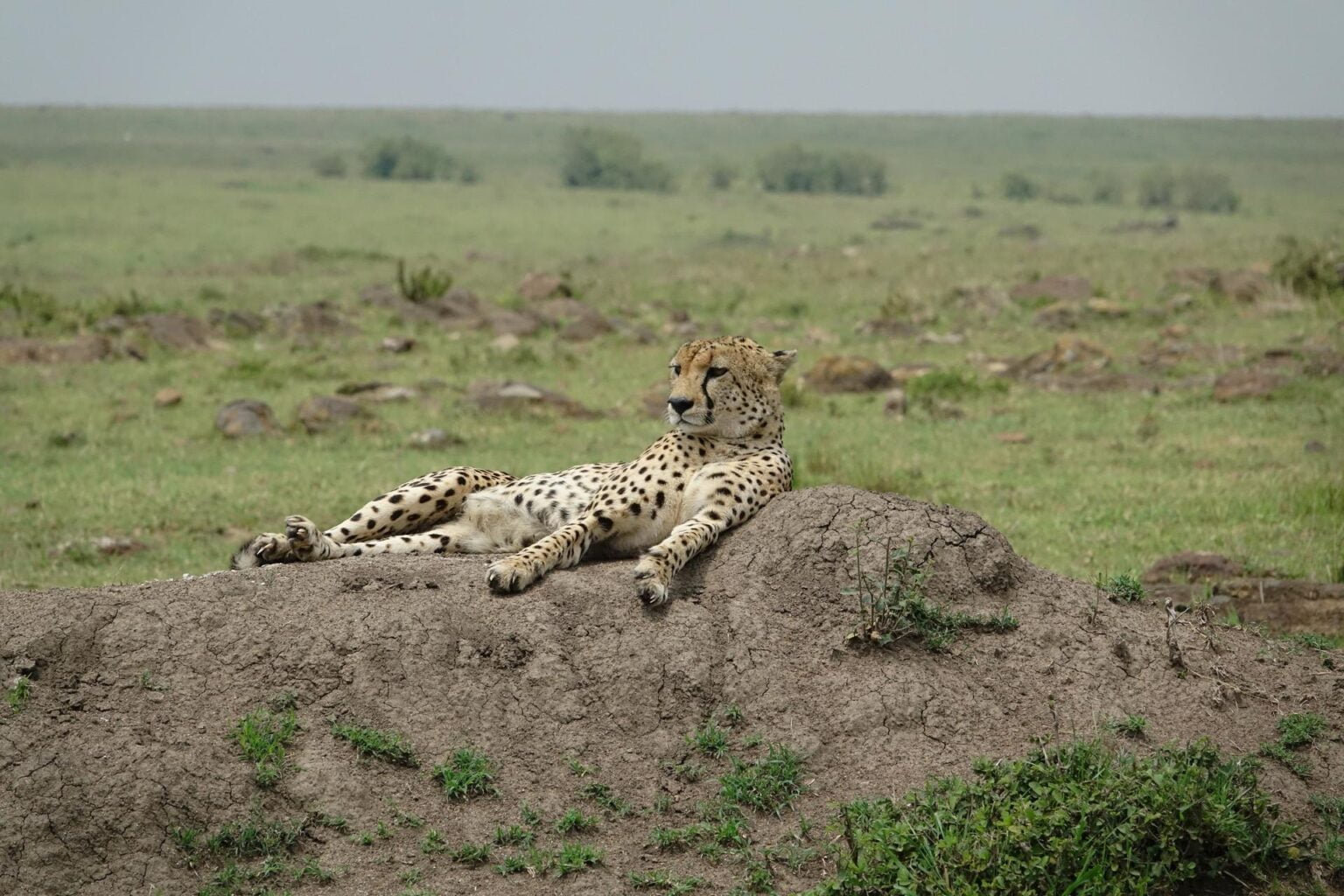 Kenia-10.jpg
