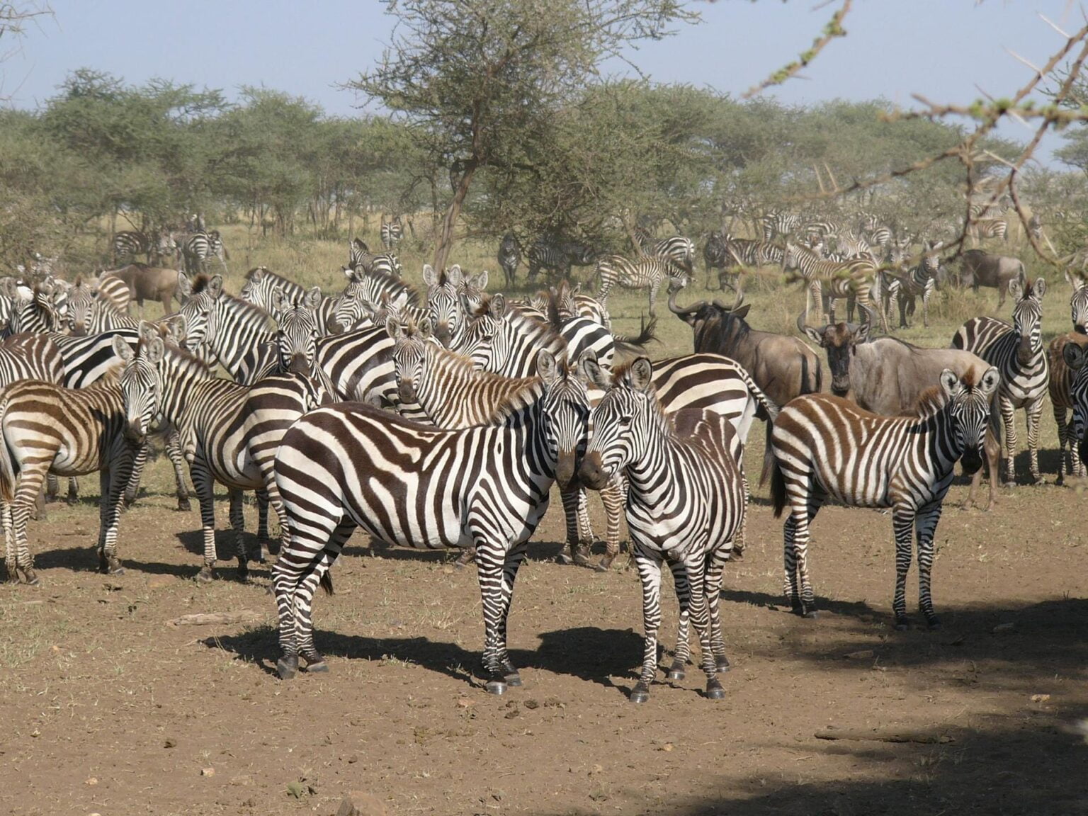Kenia-19.jpg