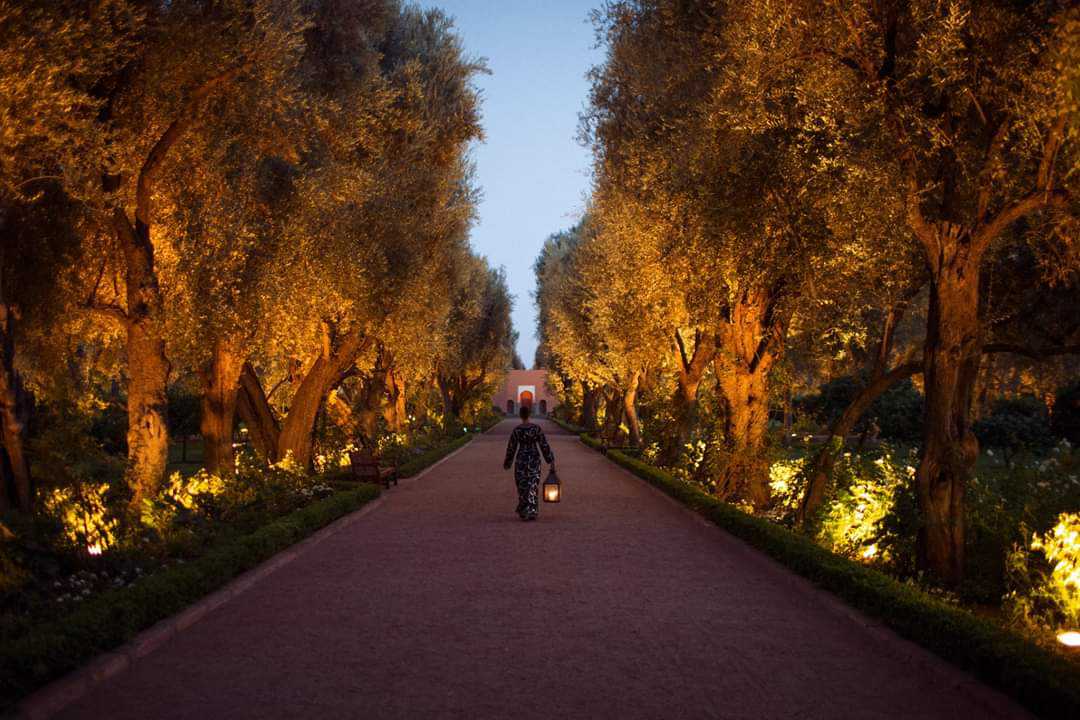 La-Mamounia-Marrakesz-wakacje-w-Marrakeszu-najlepsze-hotele-w-Marrakeszu-luksusowe-hotele-w-Marrakeszu-ekskluzywne-wczasy-w-Maroku-46.jpg