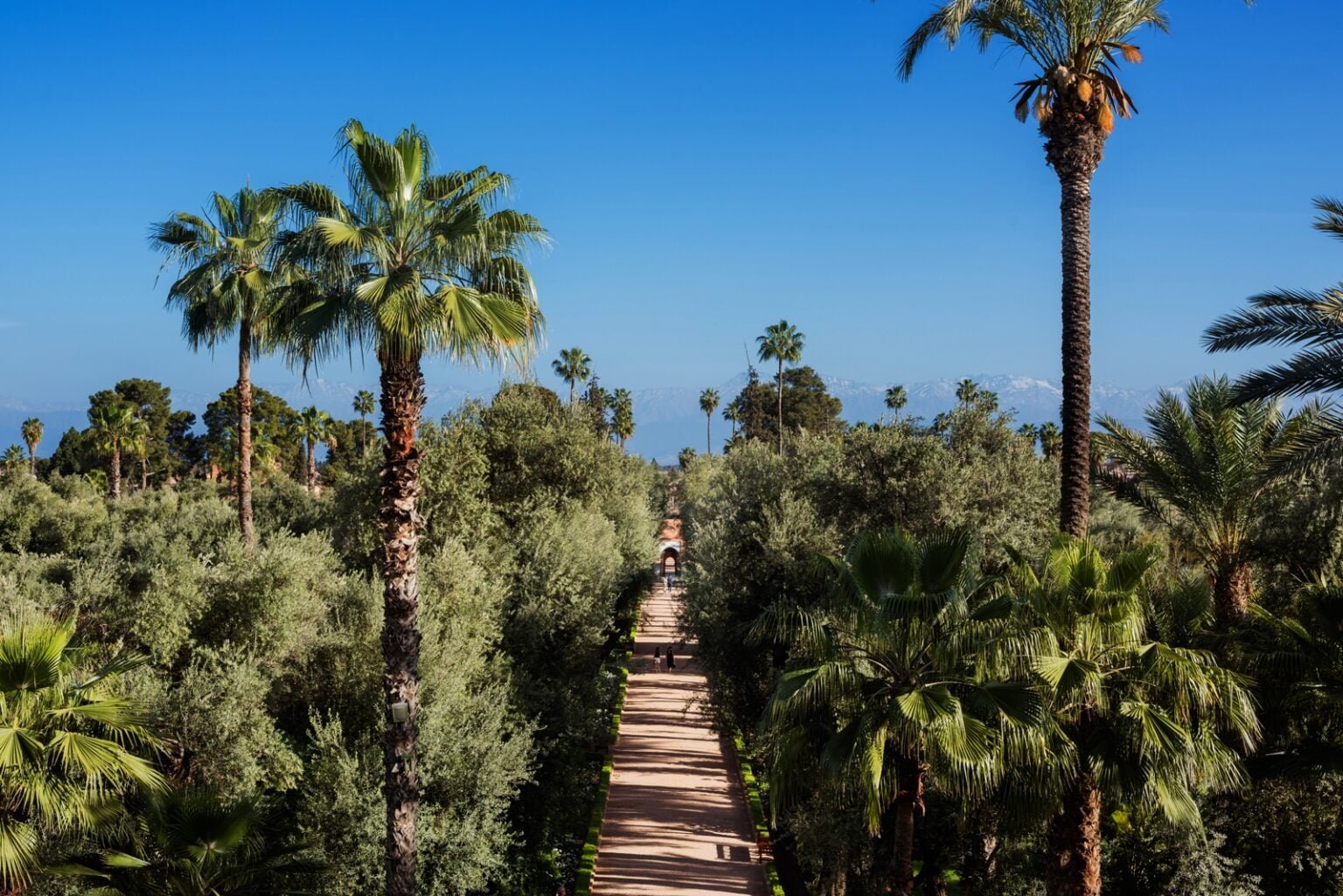 La-Mamounia-Marrakesz-wakacje-w-Marrakeszu-najlepsze-hotele-w-Marrakeszu-luksusowe-hotele-w-Marrakeszu-ekskluzywne-wczasy-w-Maroku-47.jpg