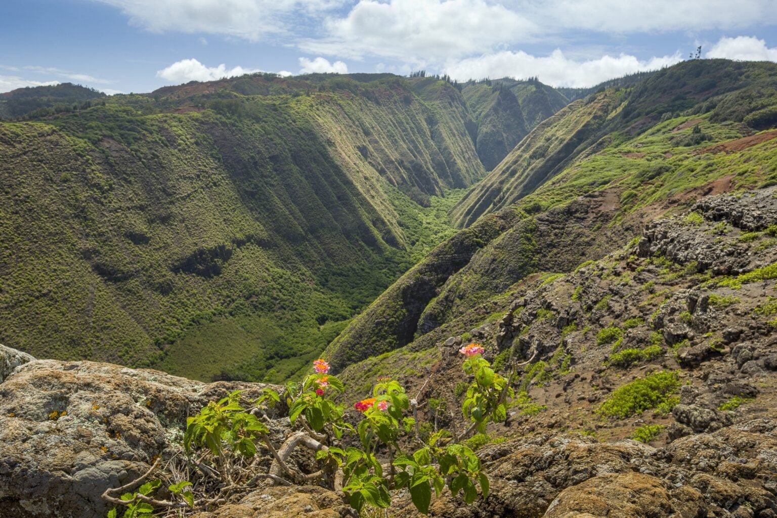 Lanai-1.jpg