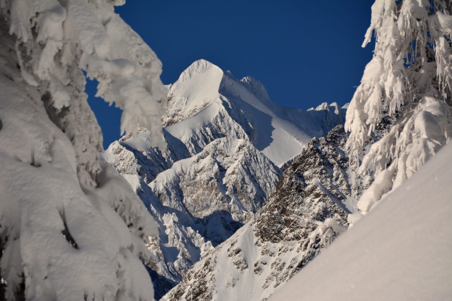 Le-Massif_Monte-Bianco-1.jpg