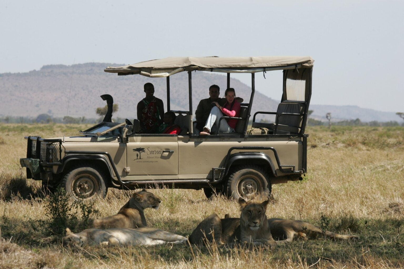 Lions-in-the-Mara.jpg