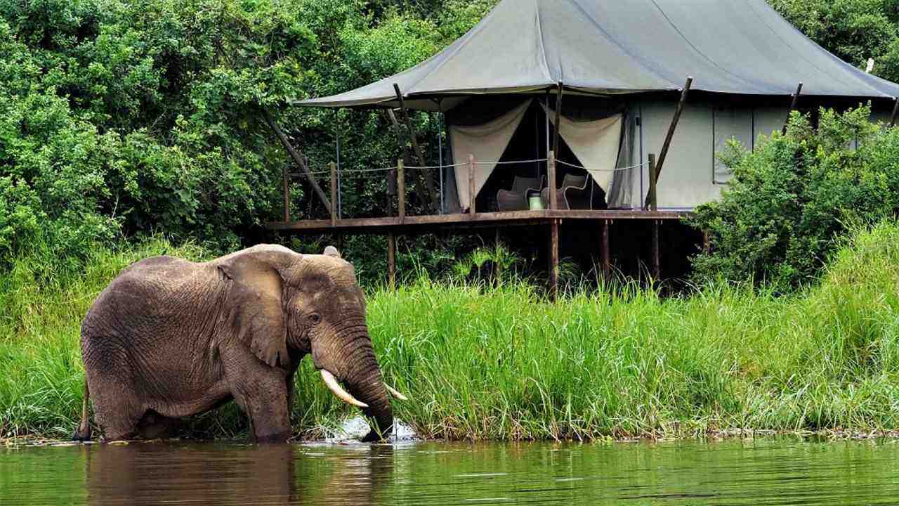 Magashi-Camp-by-Wilderness-Safari-Rwanda-luksusowe-obozy-w-Rwandzie-ekskluzywne-wycieczki-do-Rwandy-szyte-na-miare-safari-w-Rwandzie-11.jpg
