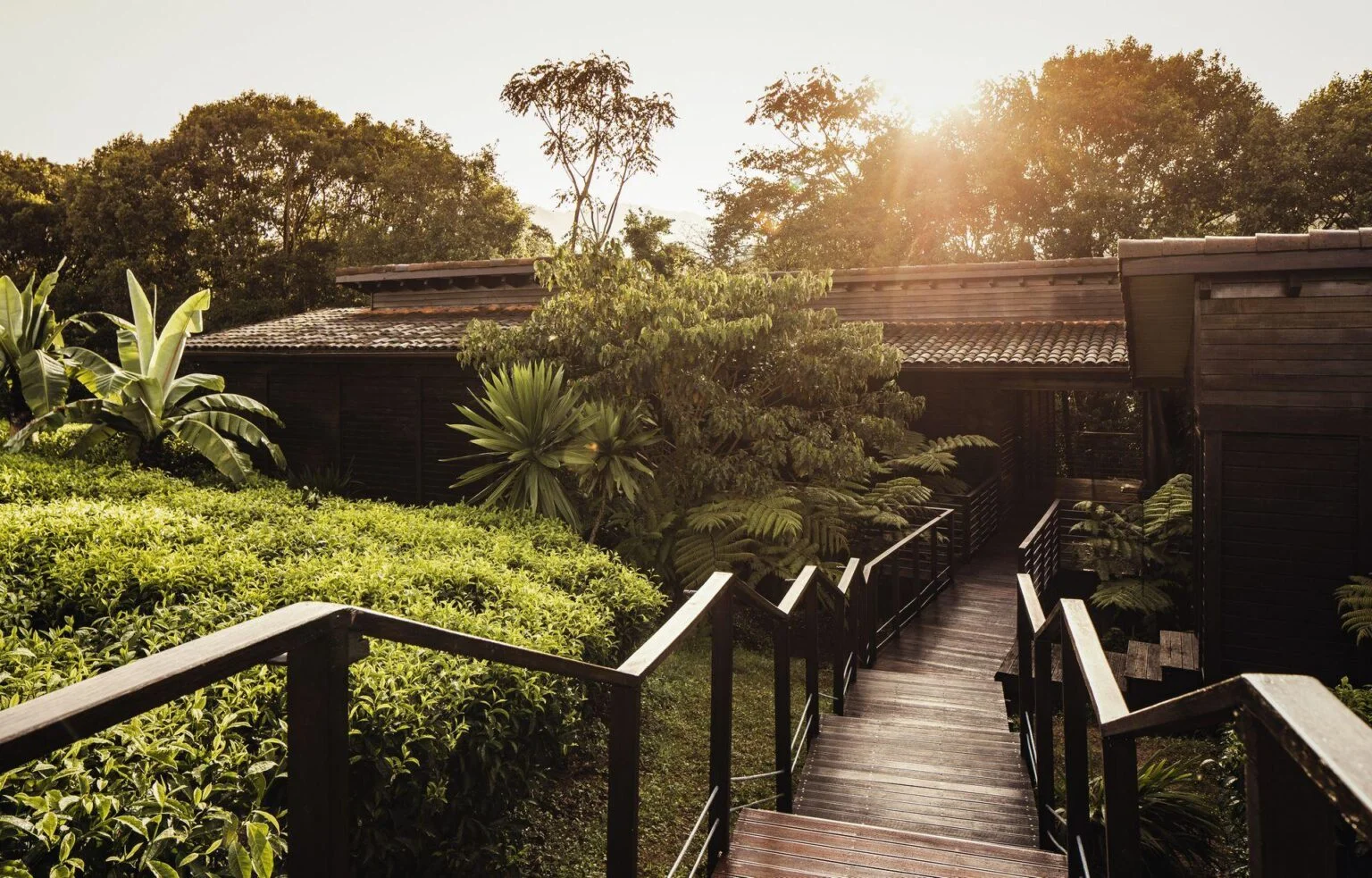 NH_OO_Accommodation_Exterior_Walkway_0090_MASTER.jpg