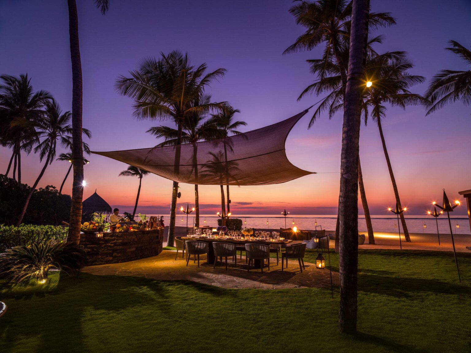 palmy o zachodzie słońca