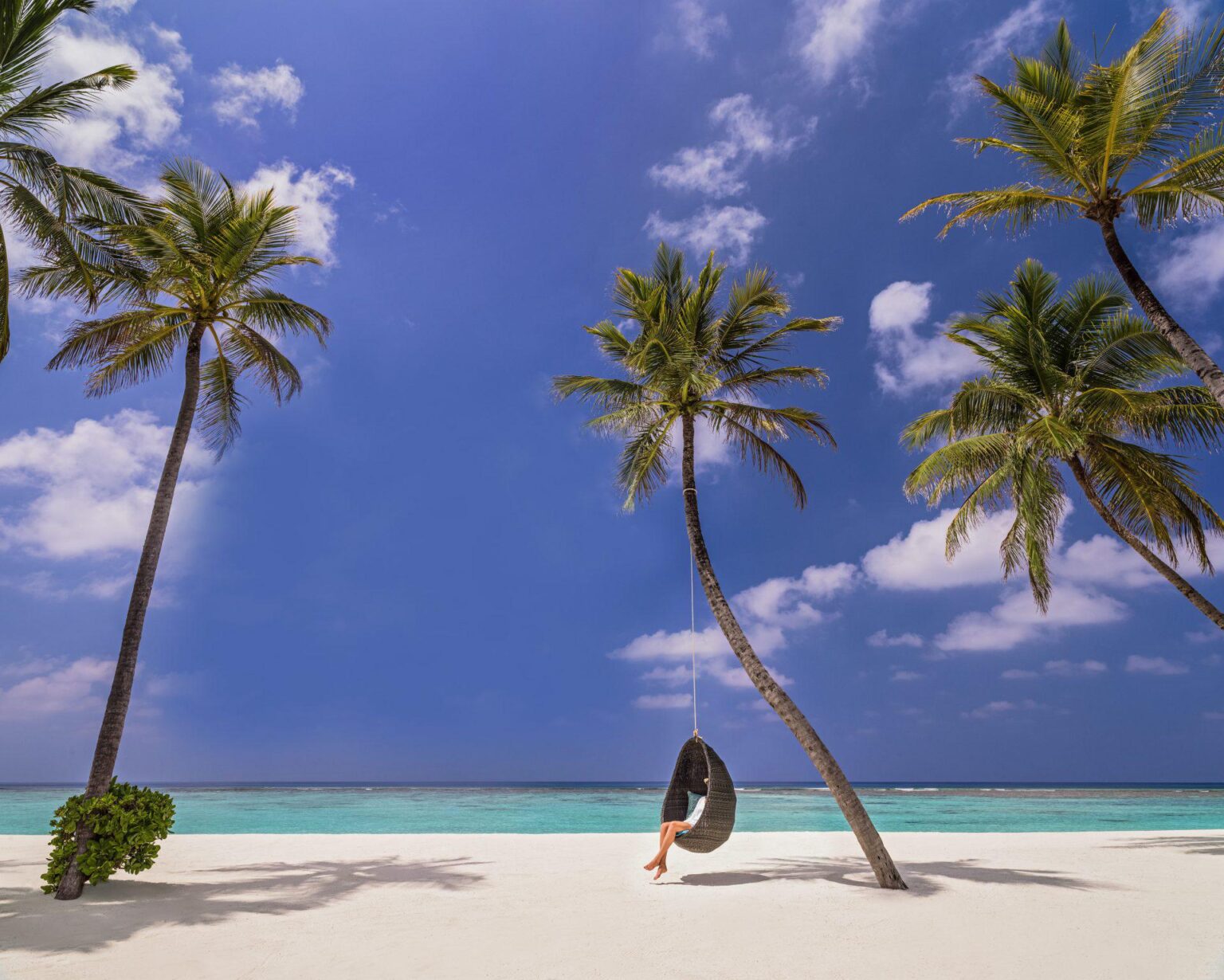 Widok na ocean i las tropikalny z lotu ptaka