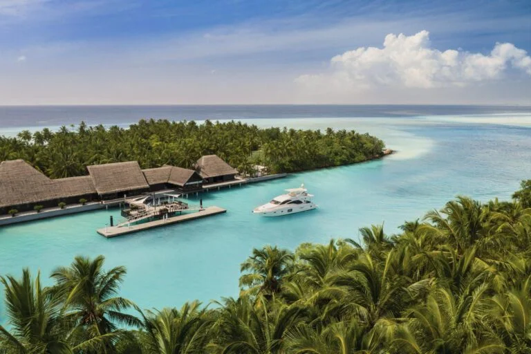 Widok na ocean i las tropikalny z lotu ptaka