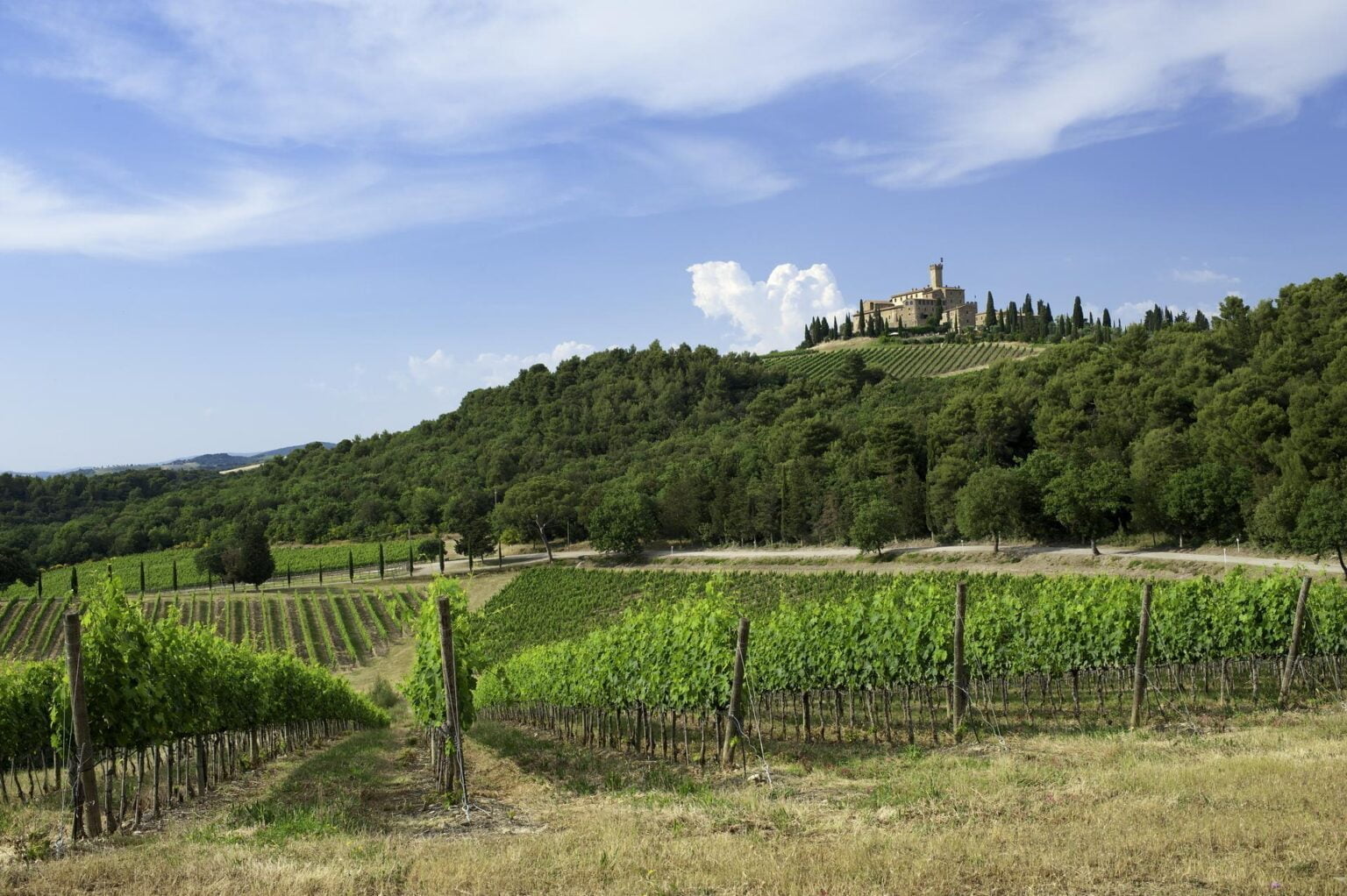 Panorama-Castello-Banfi_photographed-by-I.-Franchini.jpg