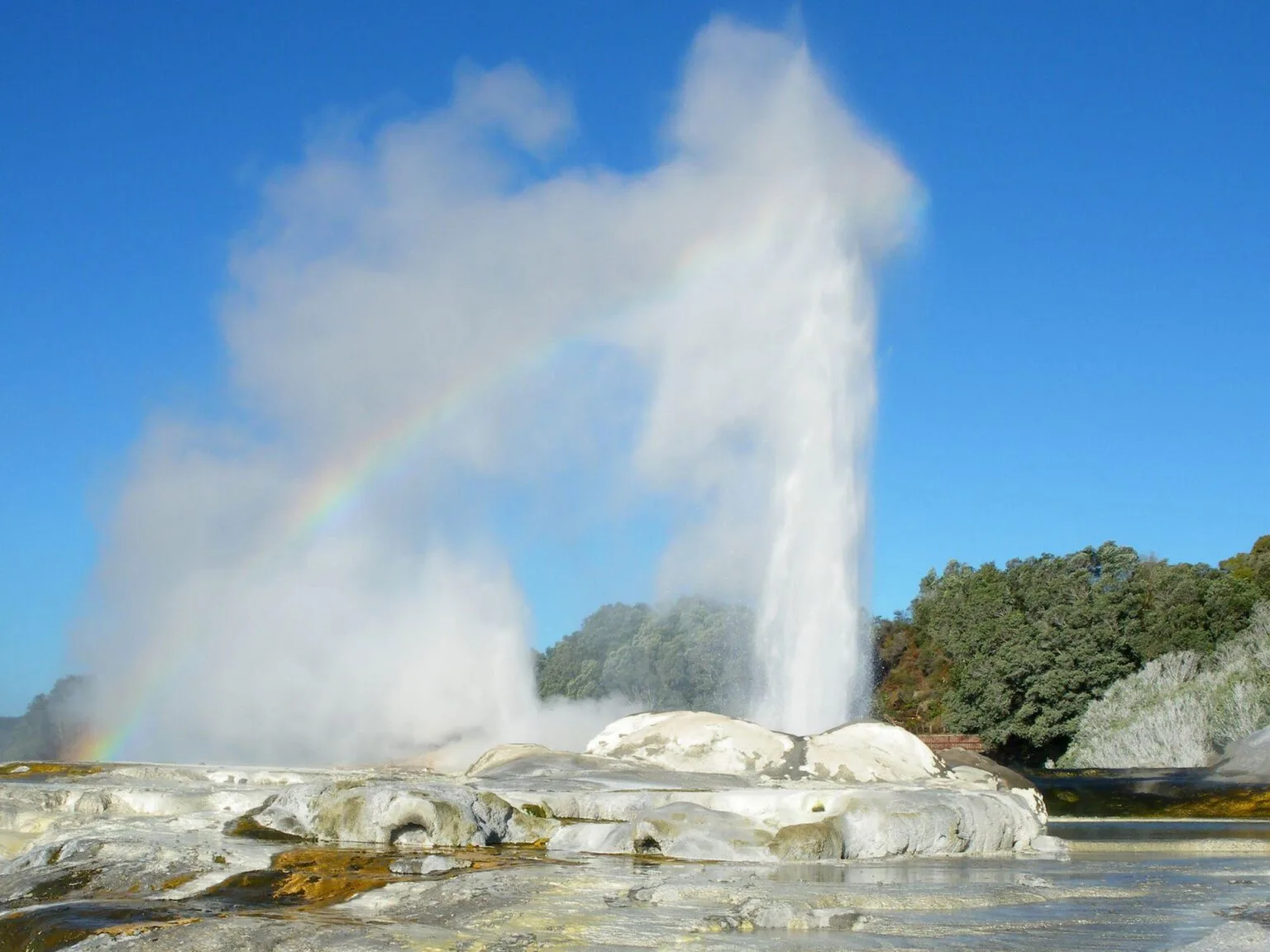 Pohutu-Geyser-eruption.jpg