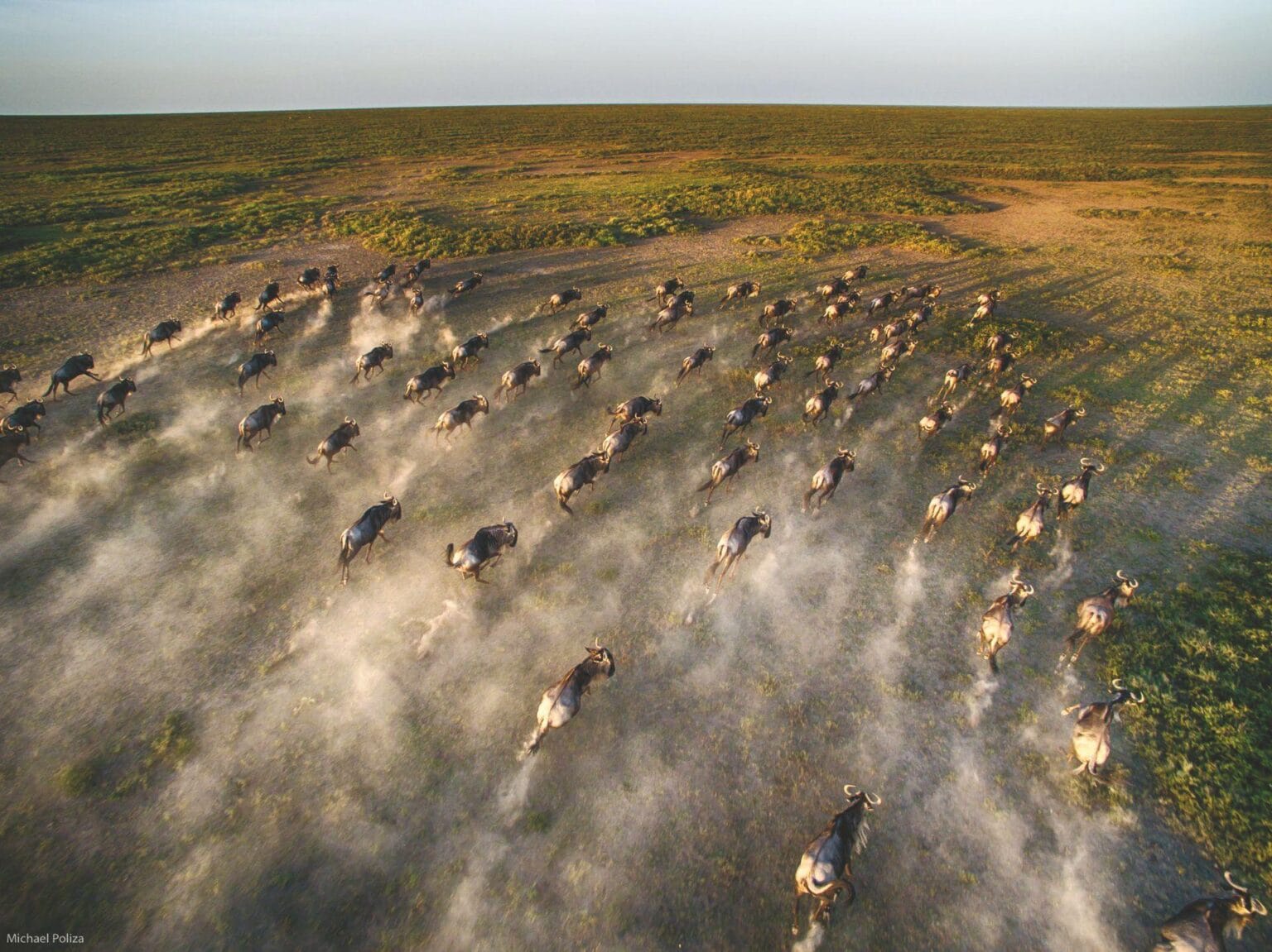 Safaris-of-a-Lifetime-Africa-and-Beyond.jpg