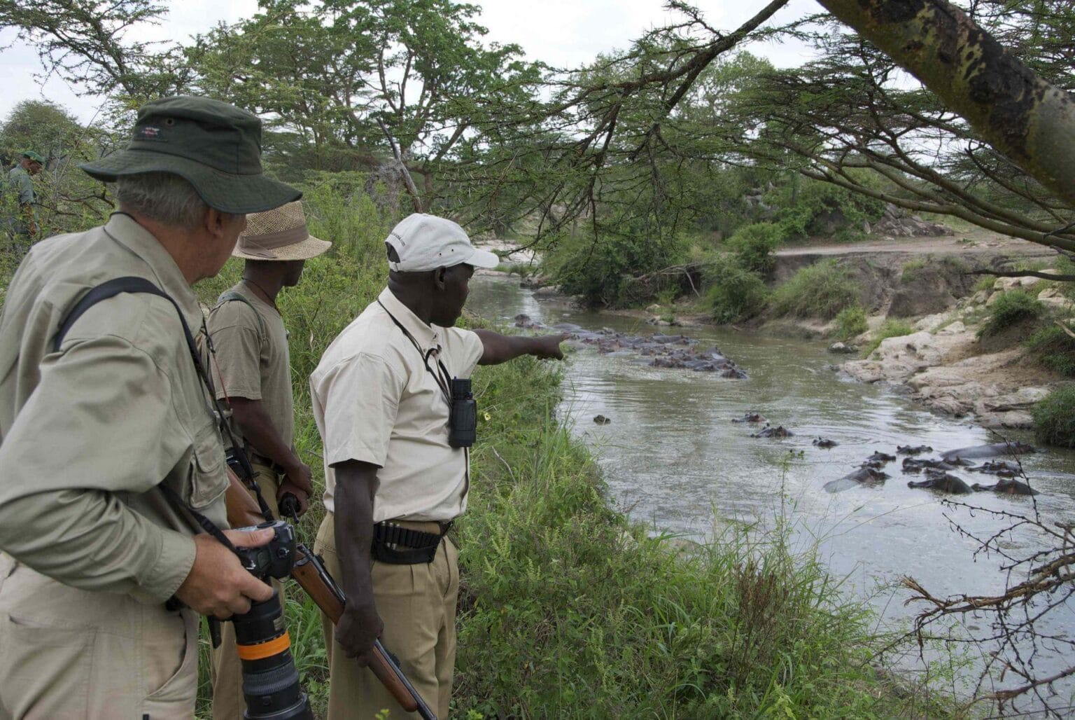 Serengeti-Migration-Camp-hippos.jpg