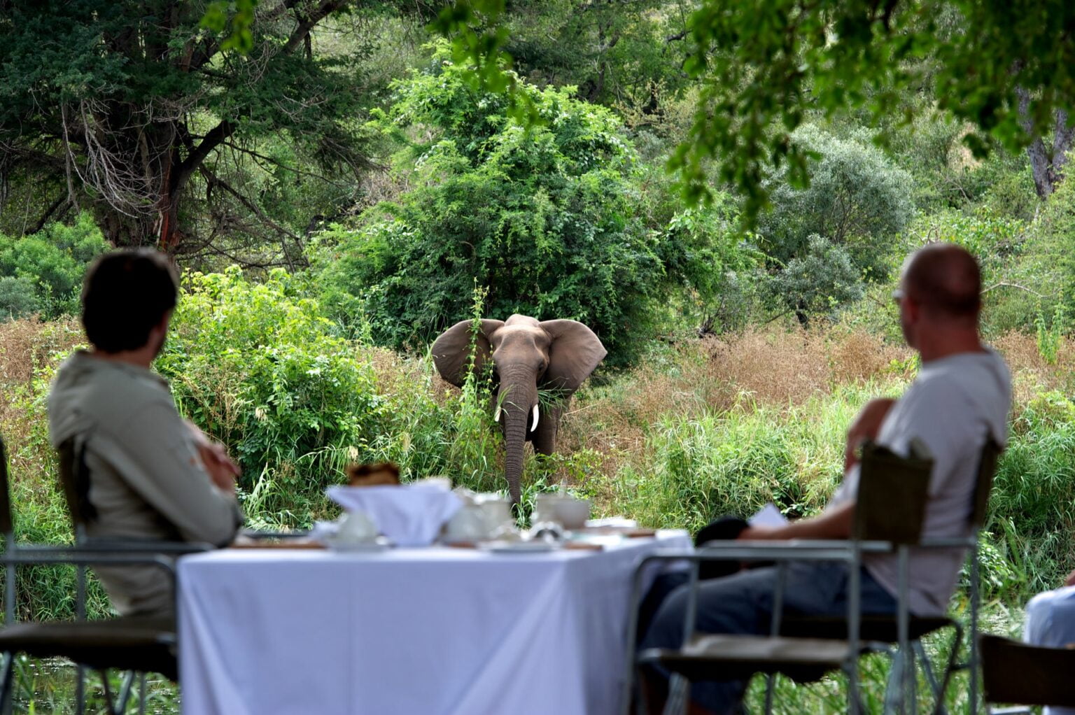 Singita-Lebombo-Lunch.jpg