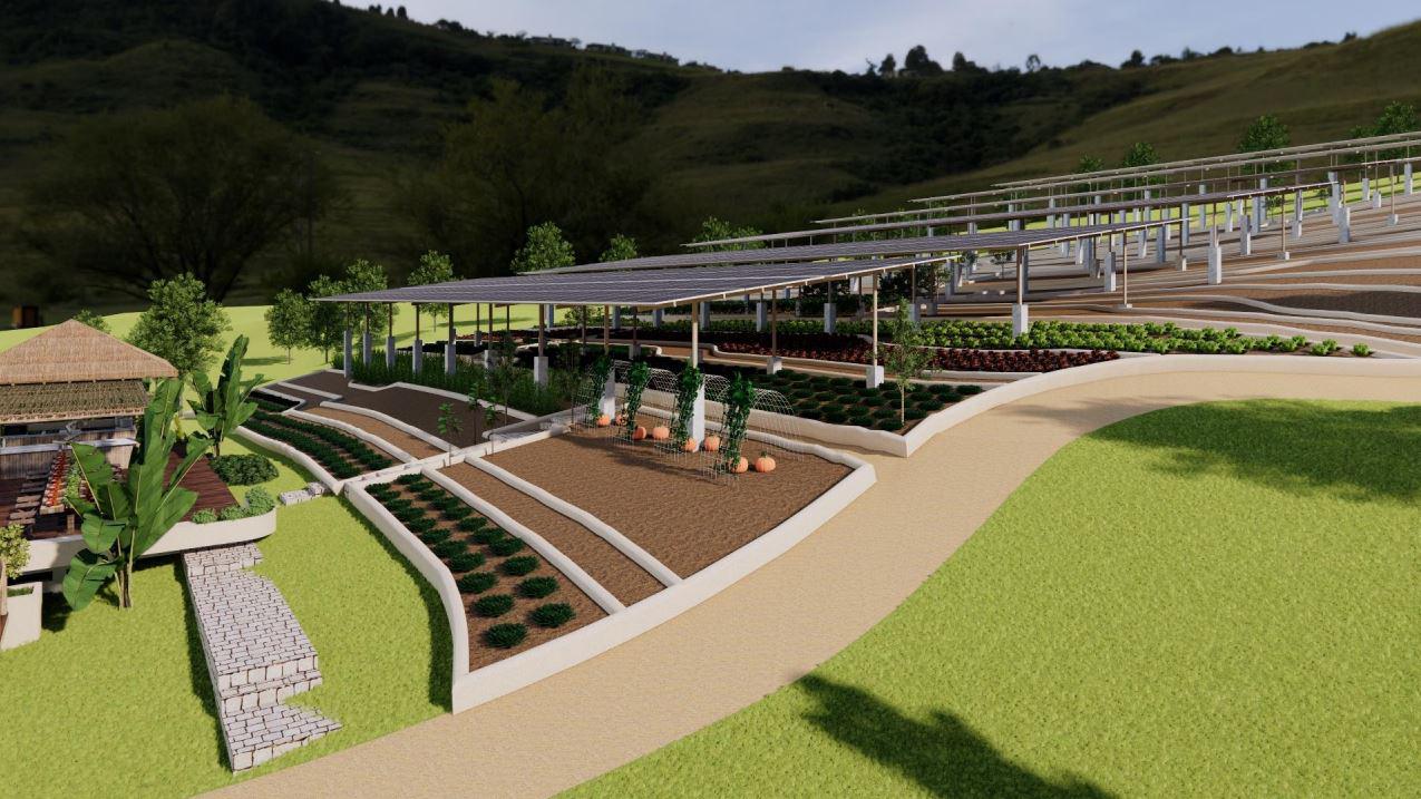 Solar-Organic-Farm.jpg