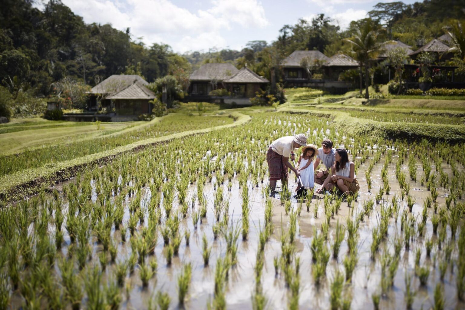 Subak-Farming.jpg