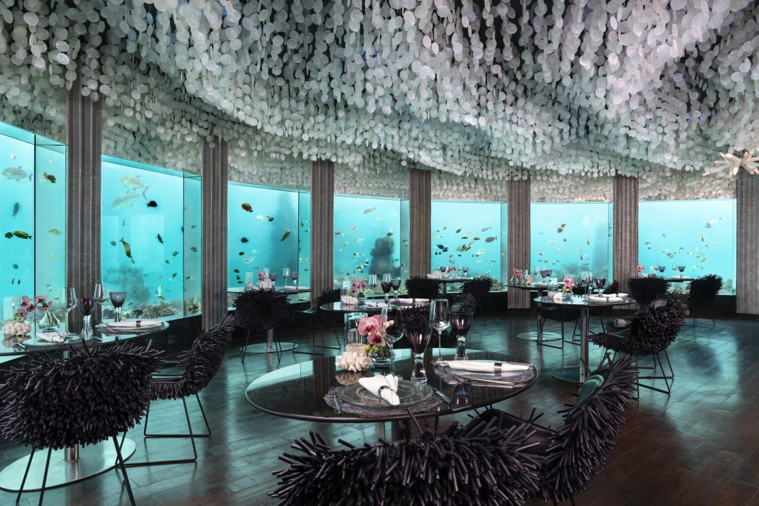 Subsix_Underwater_Restaurant_Niyama_Private_Islands_Maldives.jpg