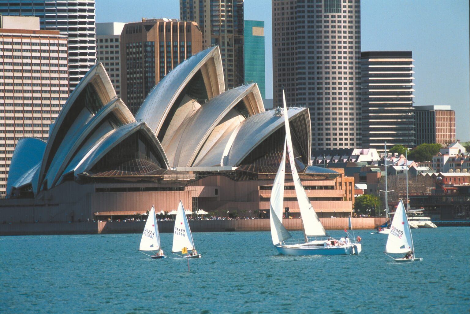 Sydney-1.jpg