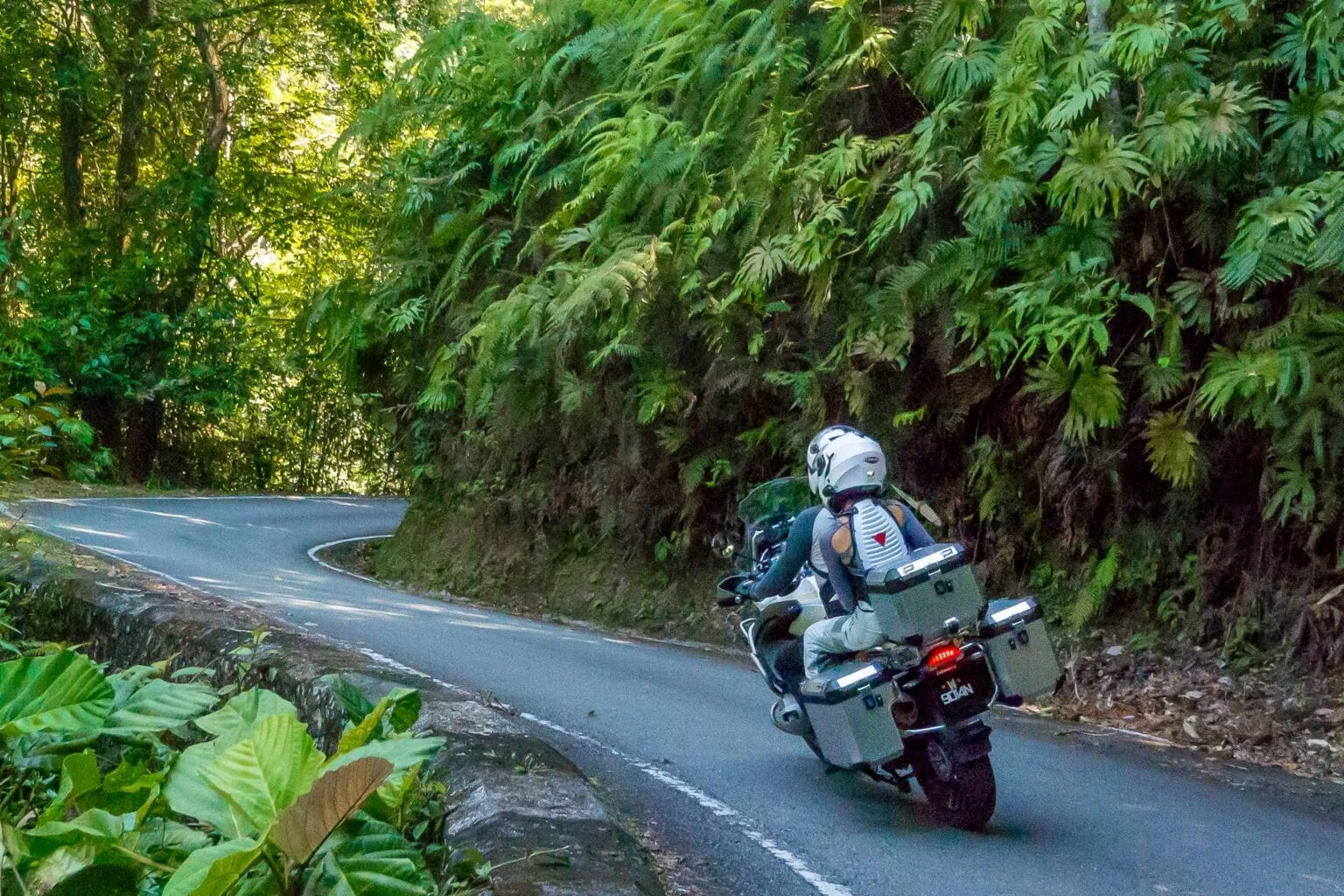 TWS-BIKE-TOURS-1.jpg