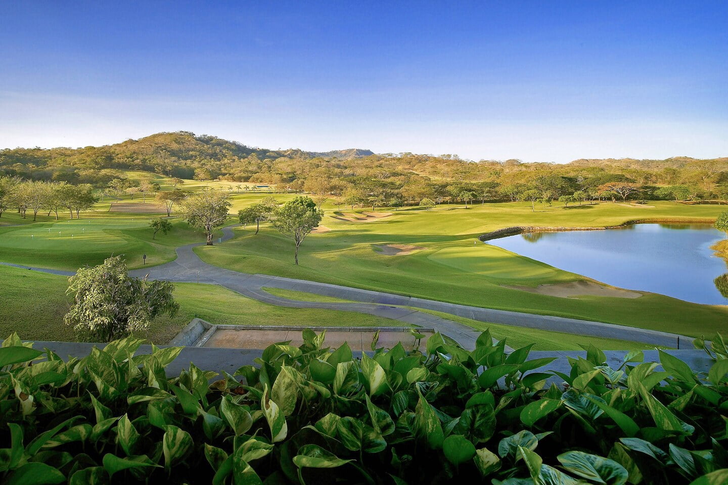 The-Westin-Golf-Resort-Spa-Guanacaste-Kostaryka-wakacje-w-Kostaryce-rodzinne-hotele-w-Kostaryce-najlepsze-hotele-w-Kostaryce-atrakcje-Kostaryki-4.jpg