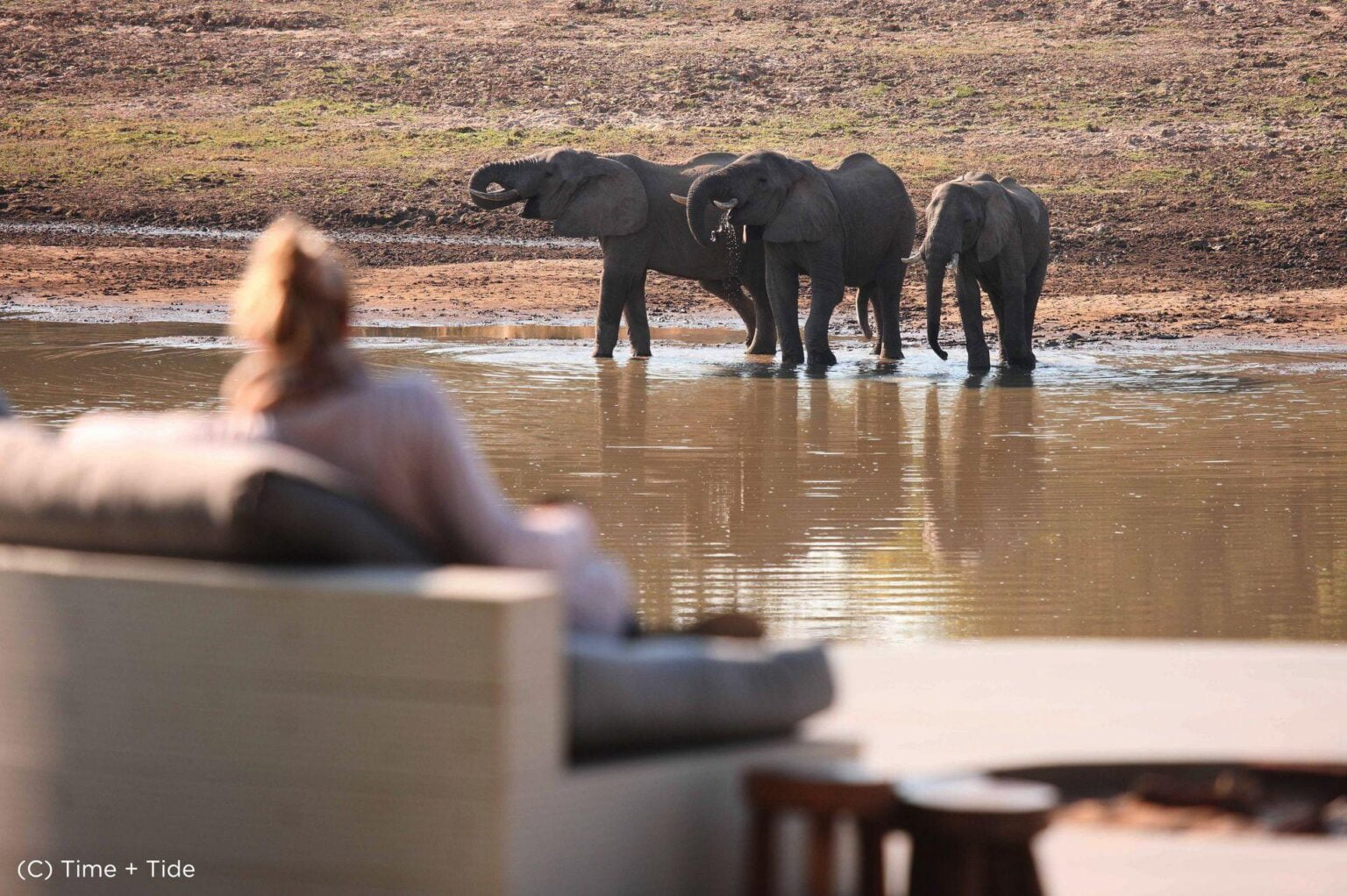 Time-Tide-Norman-Carr-Safaris-CHINZOMBO17-3.jpg