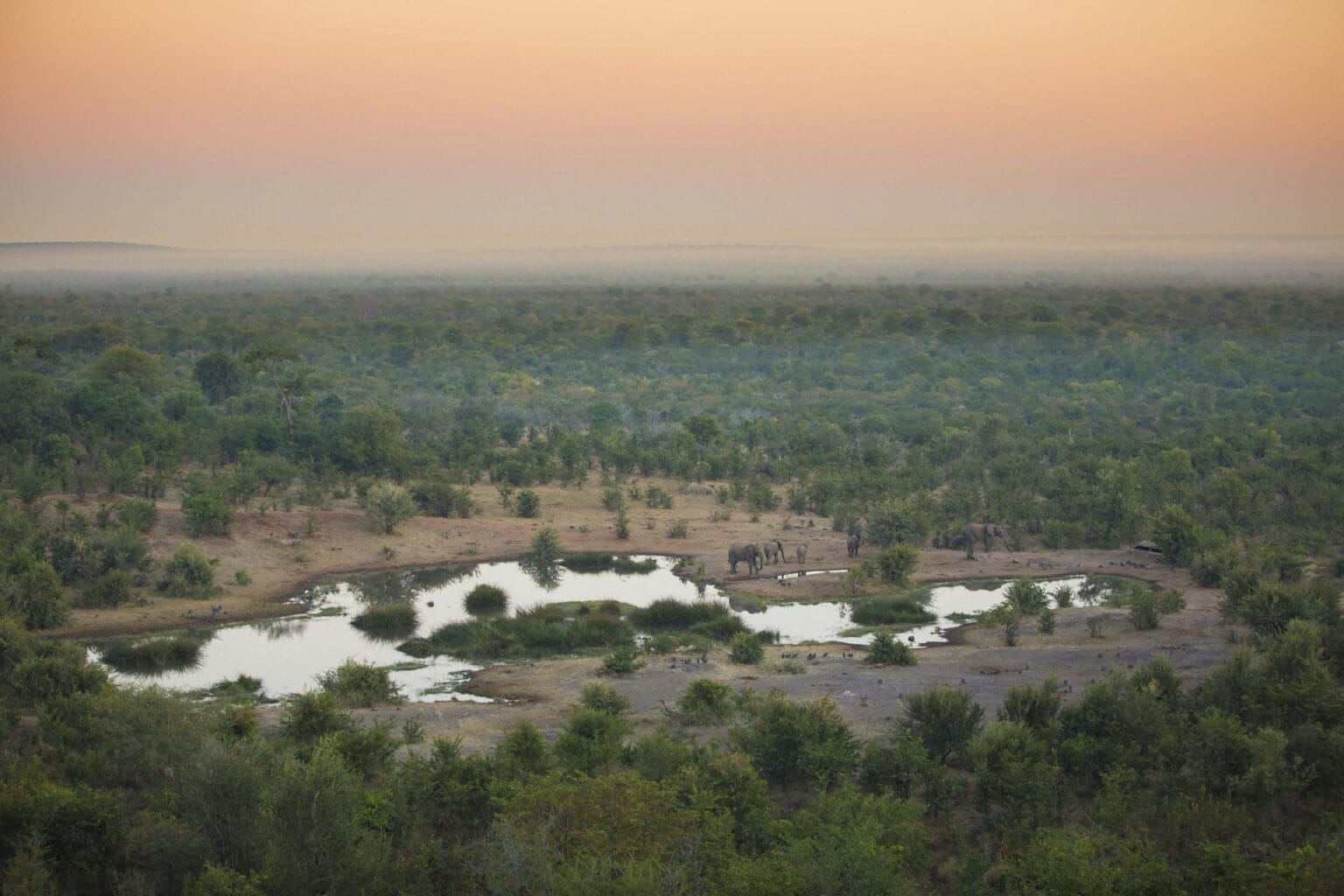 Victoria-Falls-Safari-Lodge-sunrise-view-over-waterhole.jpg