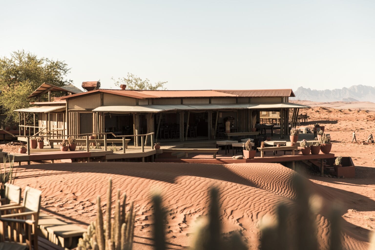 Wolwedans-03.jpg