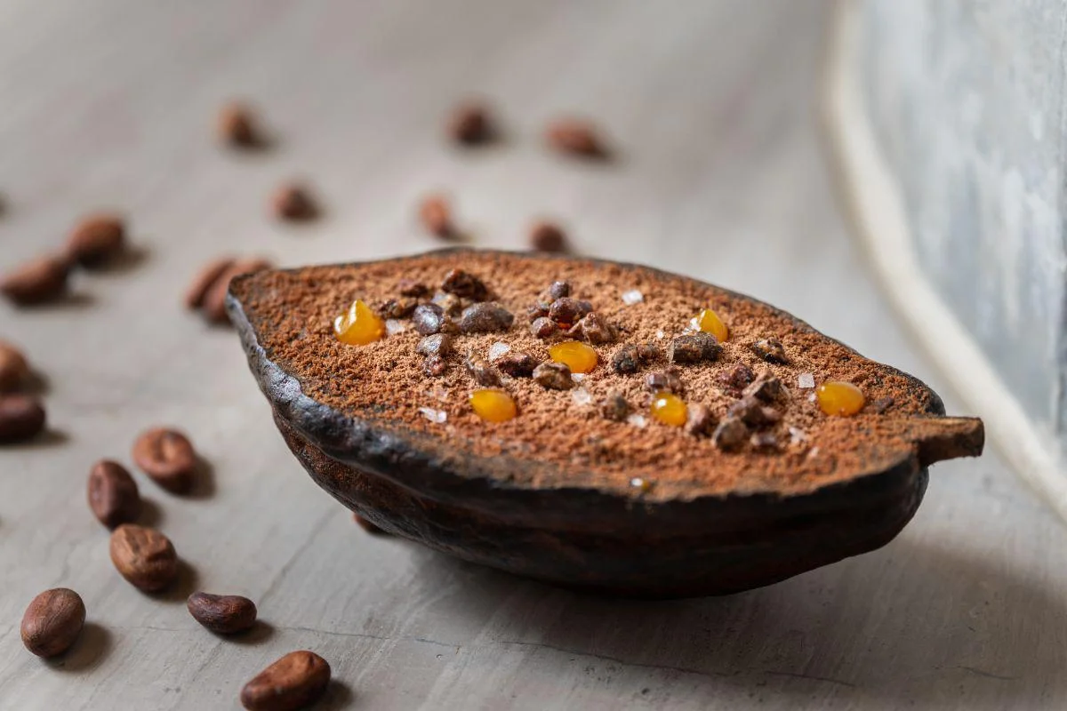 Xcaret-Arte-best-hotels-in-Mexico-most beautiful-hotels-in-the-world-exclusive-holidays-in-Mexico-5-hotels-in-Mexico-adults-only.jpg