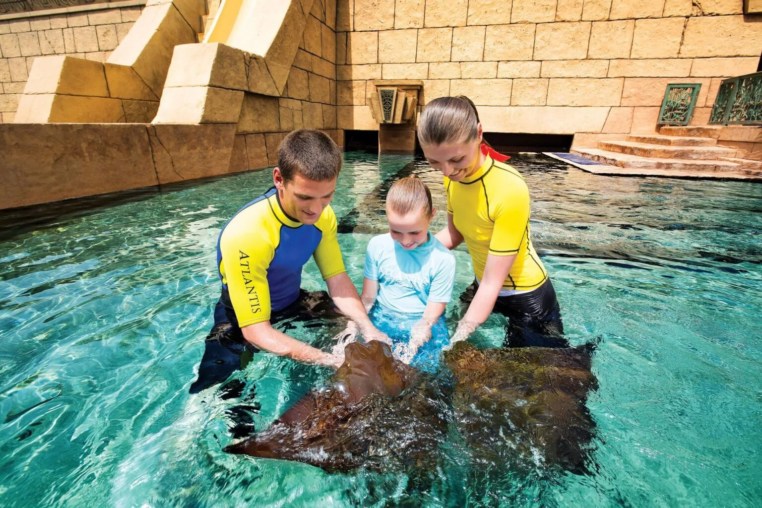 aquaventure-rayfeeding.jpg