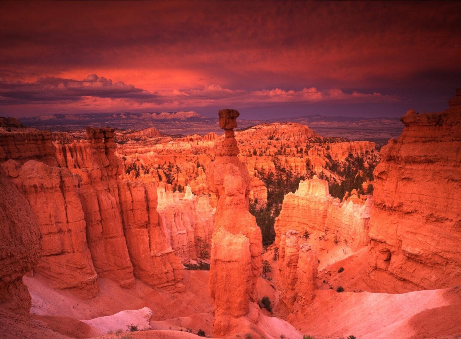 bryce-canyon-1522385.jpg