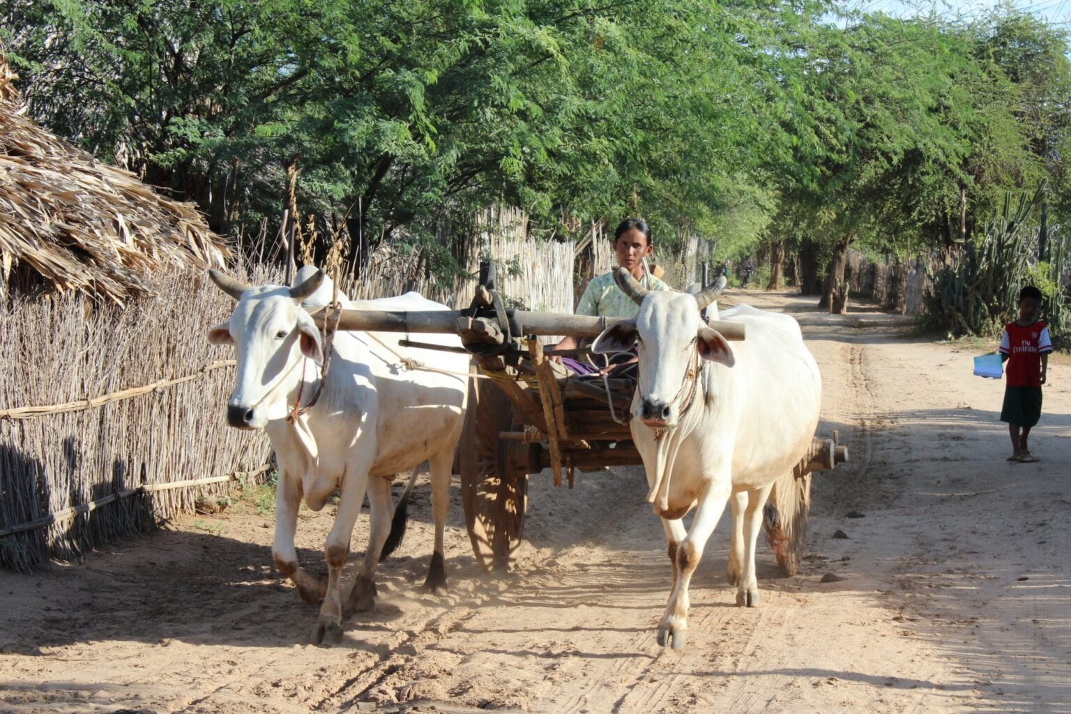 burma-2000793.jpg